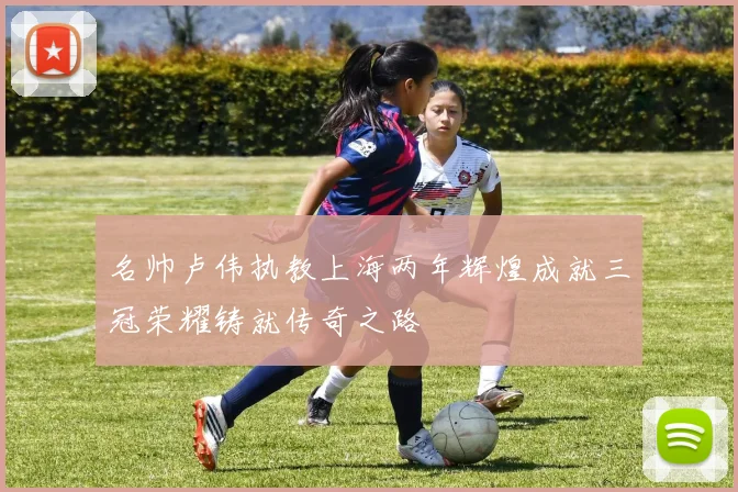 名帅卢伟执教上海两年辉煌成就三冠荣耀铸就传奇之路