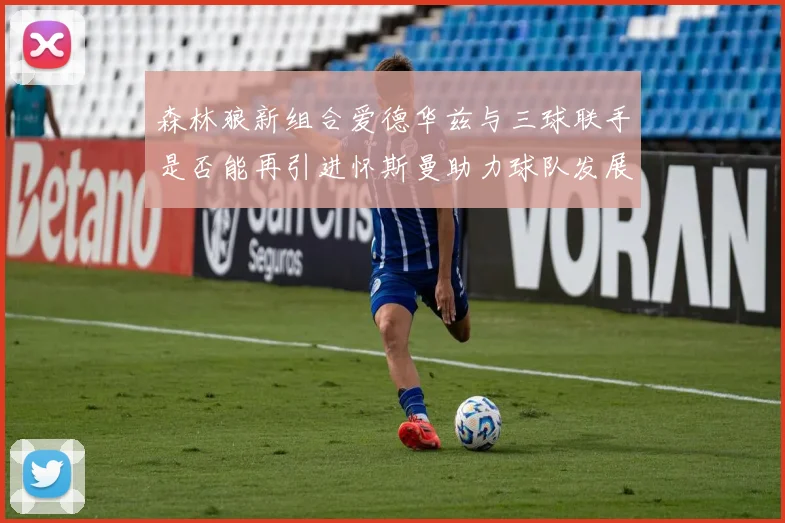 森林狼新组合爱德华兹与三球联手是否能再引进怀斯曼助力球队发展